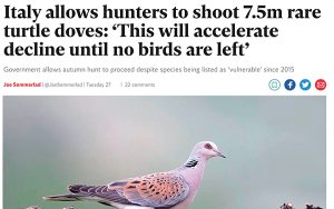 FACE challenges UK newspaper inaccuracies