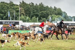 The Game Fair celebrates 65th anniversary this year